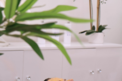 Sure Therapy gallery - 15